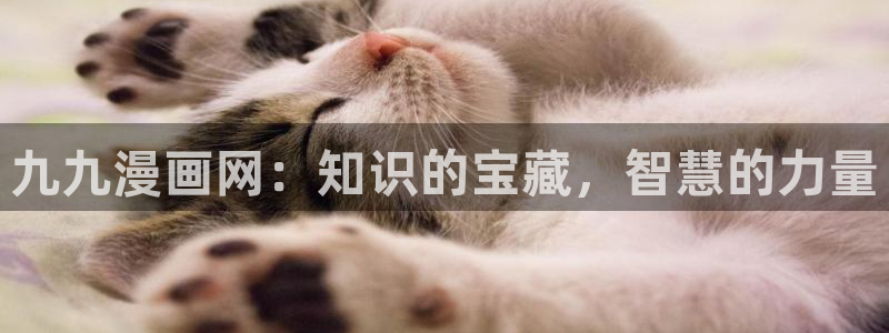 免费漫画漫画之家：九九漫画网：知识的宝藏，智慧的力量