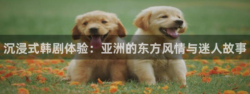 漫画漫画之家：沉浸式韩剧体验：亚洲的东方风情与迷人故事