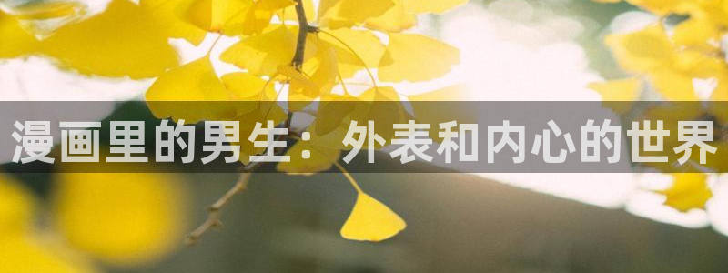 漫画之家：漫画里的男生：外表和内心的世界