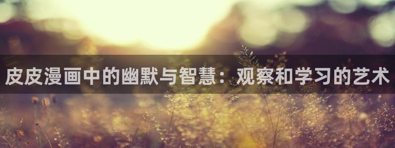 漫画之家官网_漫画之家：皮皮漫画中的幽默与智慧：观察和学习的艺术